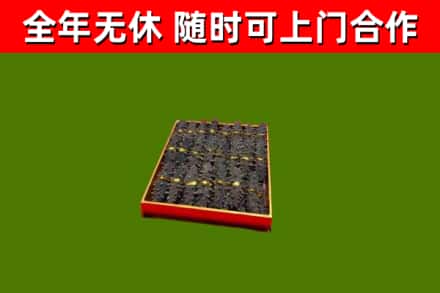 饶平县回收海参